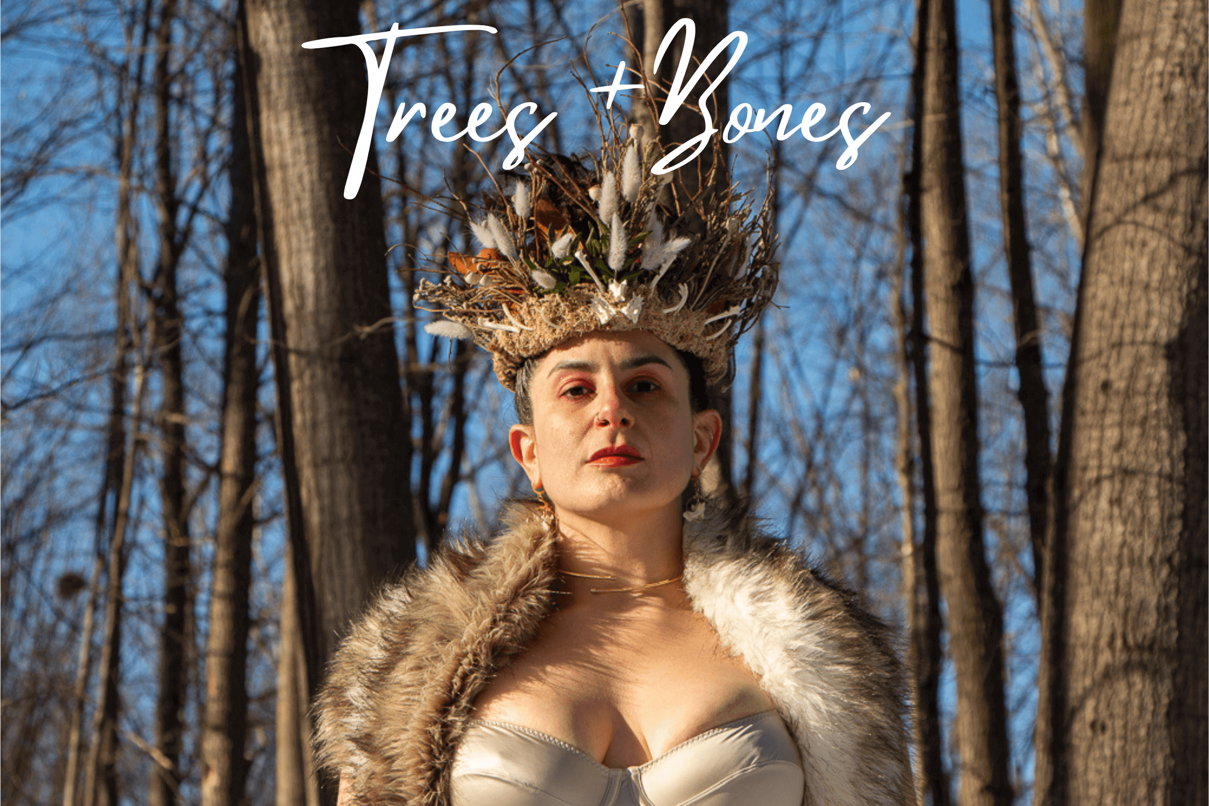 Ash Lex Trees & Bones